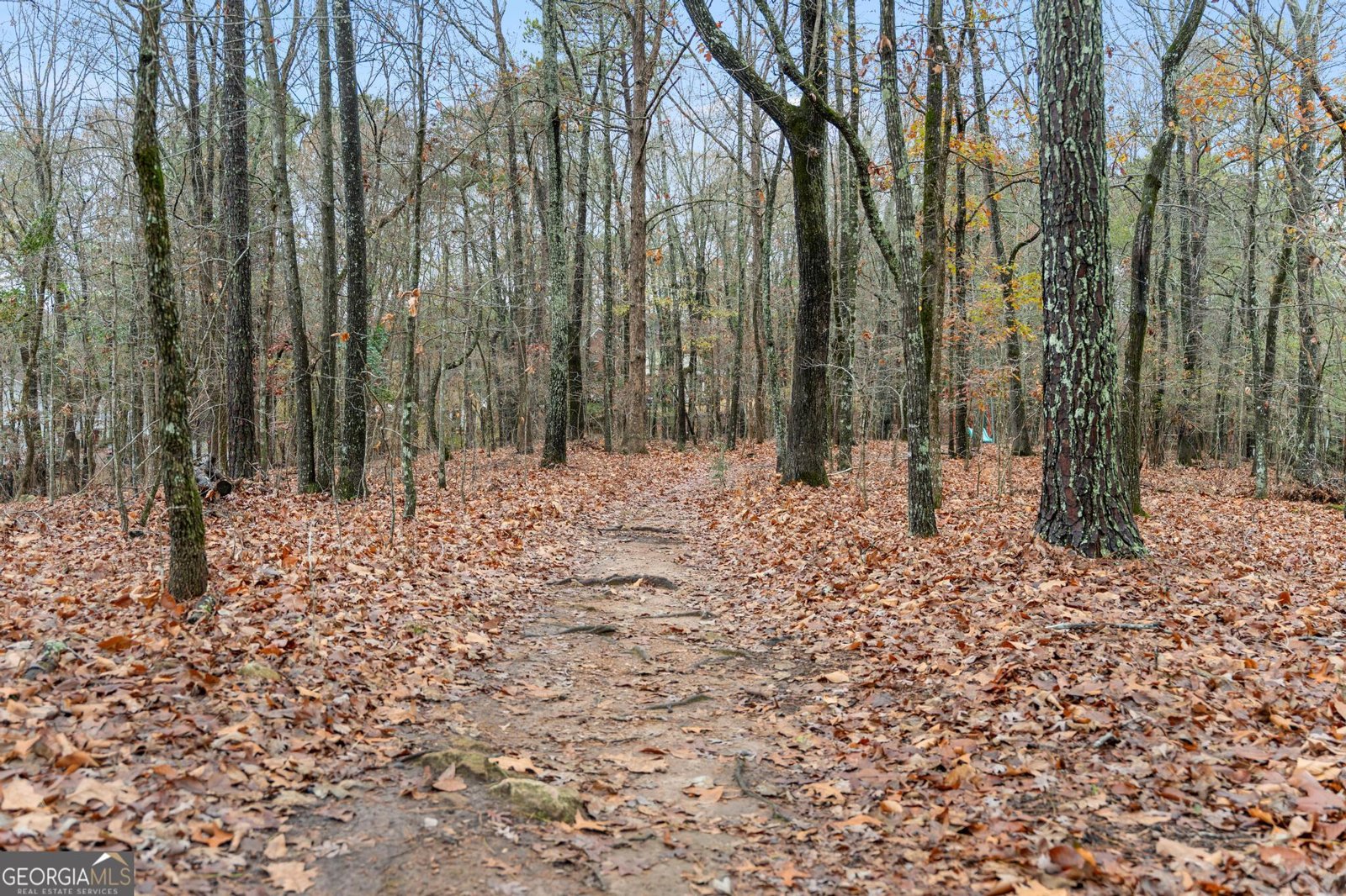 833 Southern Shore Drive Peachtree City - 95