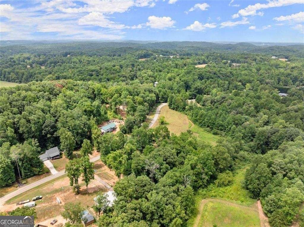 459 Gold Ridge Road Dahlonega - 44