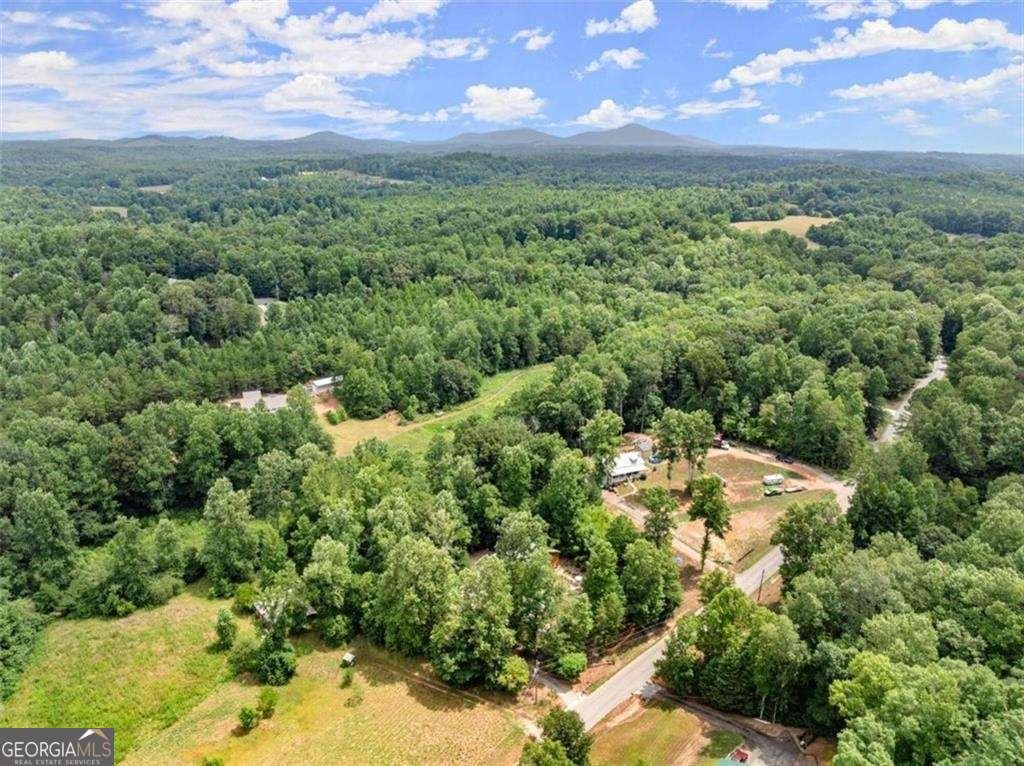 459 Gold Ridge Road Dahlonega - 45