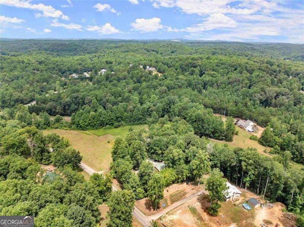 459 Gold Ridge Road Dahlonega - 47