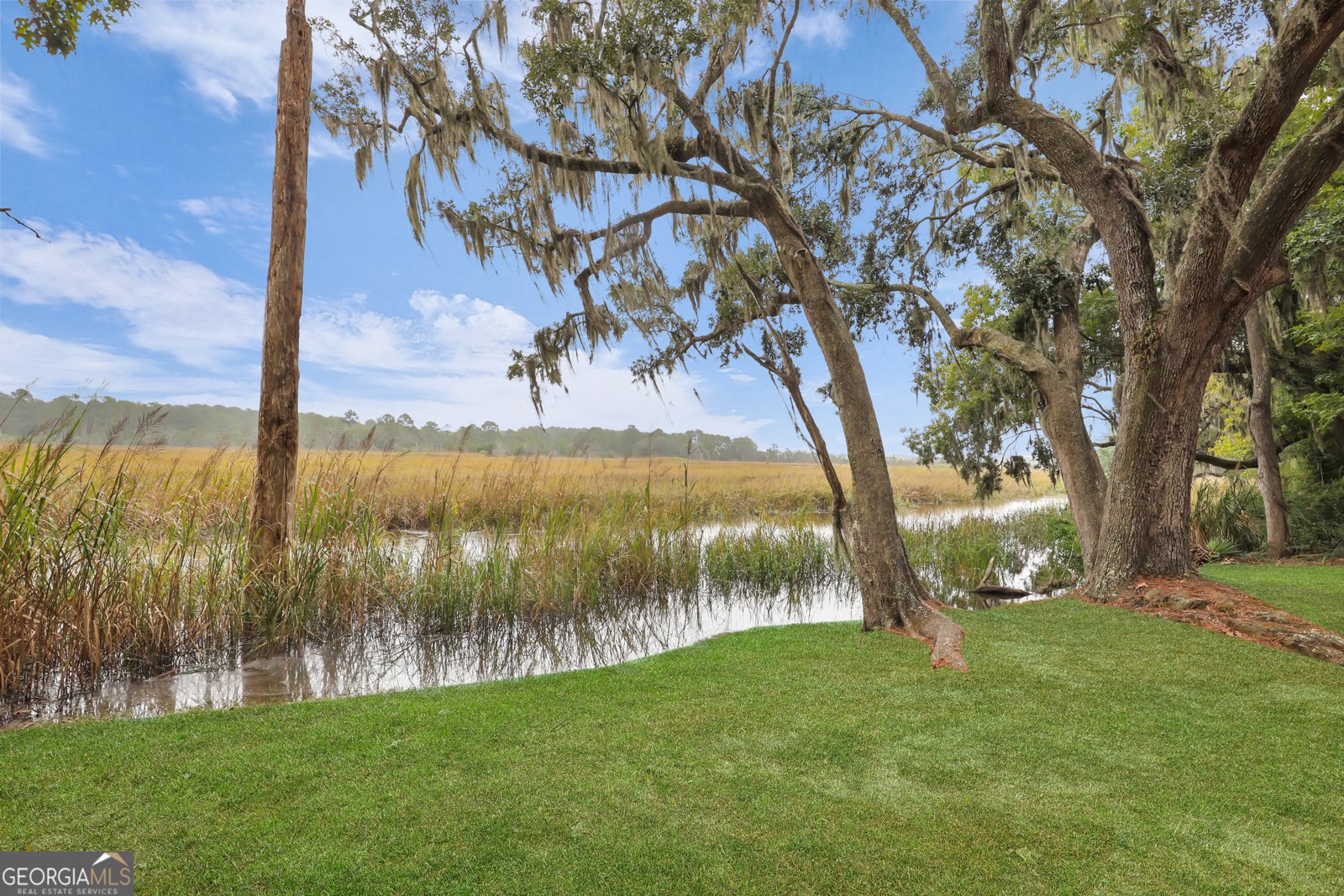 220 Mosswood Drive Savannah - 57