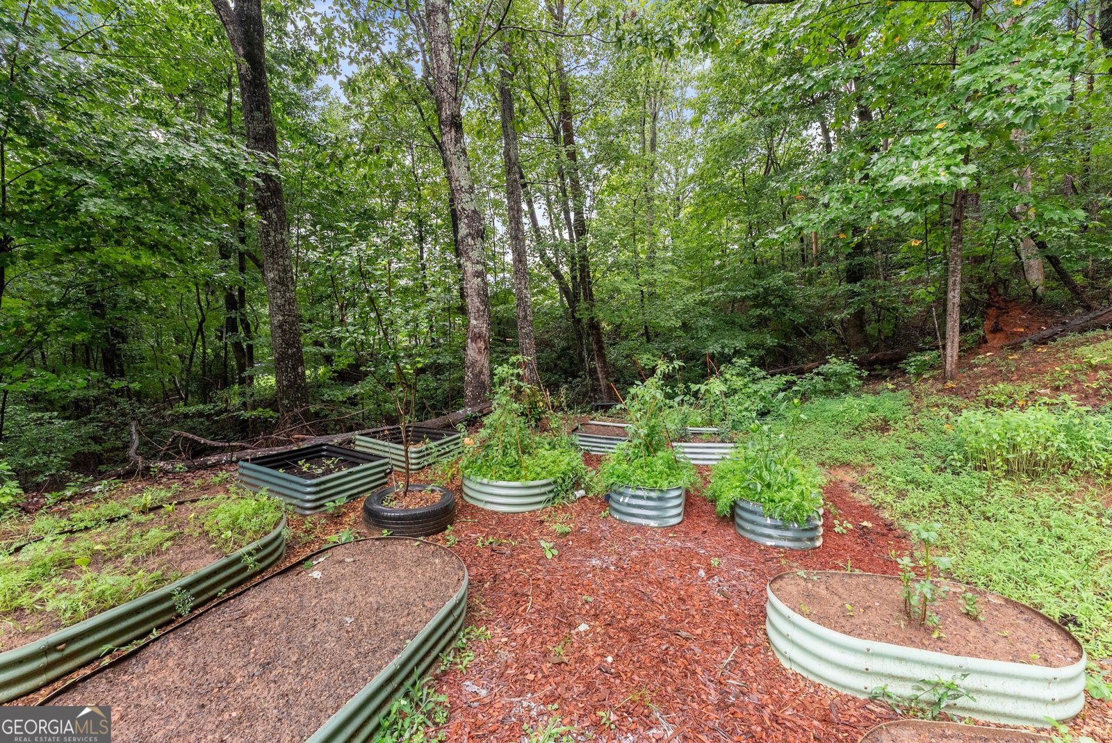 221 Grand View Drive Cleveland - 10