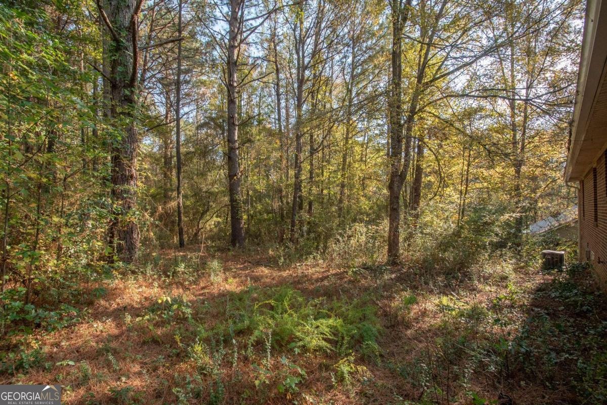 1104 Alverson Road Lagrange - 24