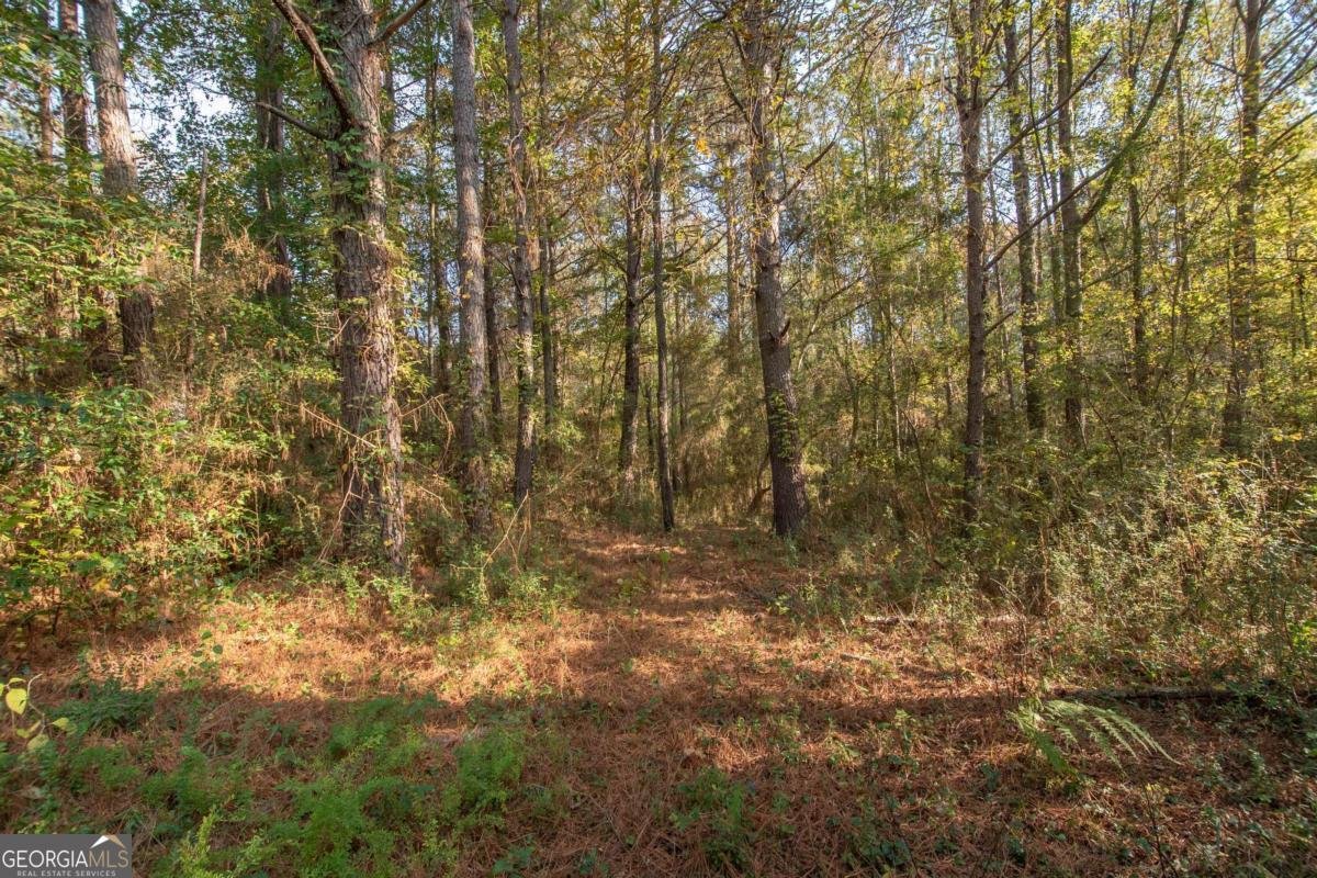 1104 Alverson Road Lagrange - 25