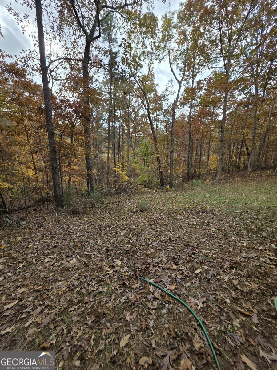 3061 Cypress Cove Ball Ground - 6