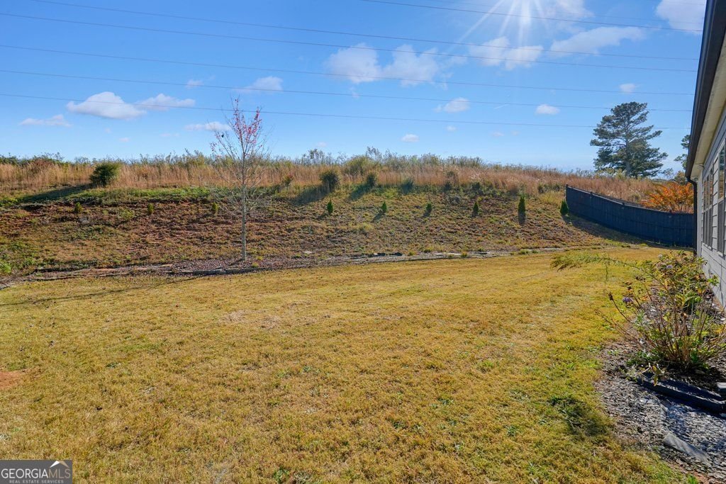 330 Davis Lane Woodstock - 45