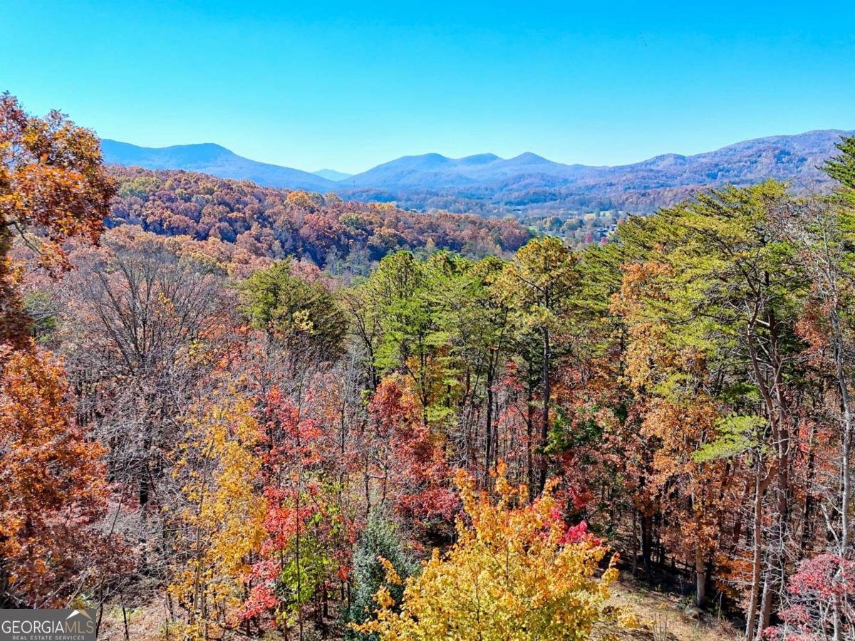 4749 Timberline Sunset Drive Young Harris - 5