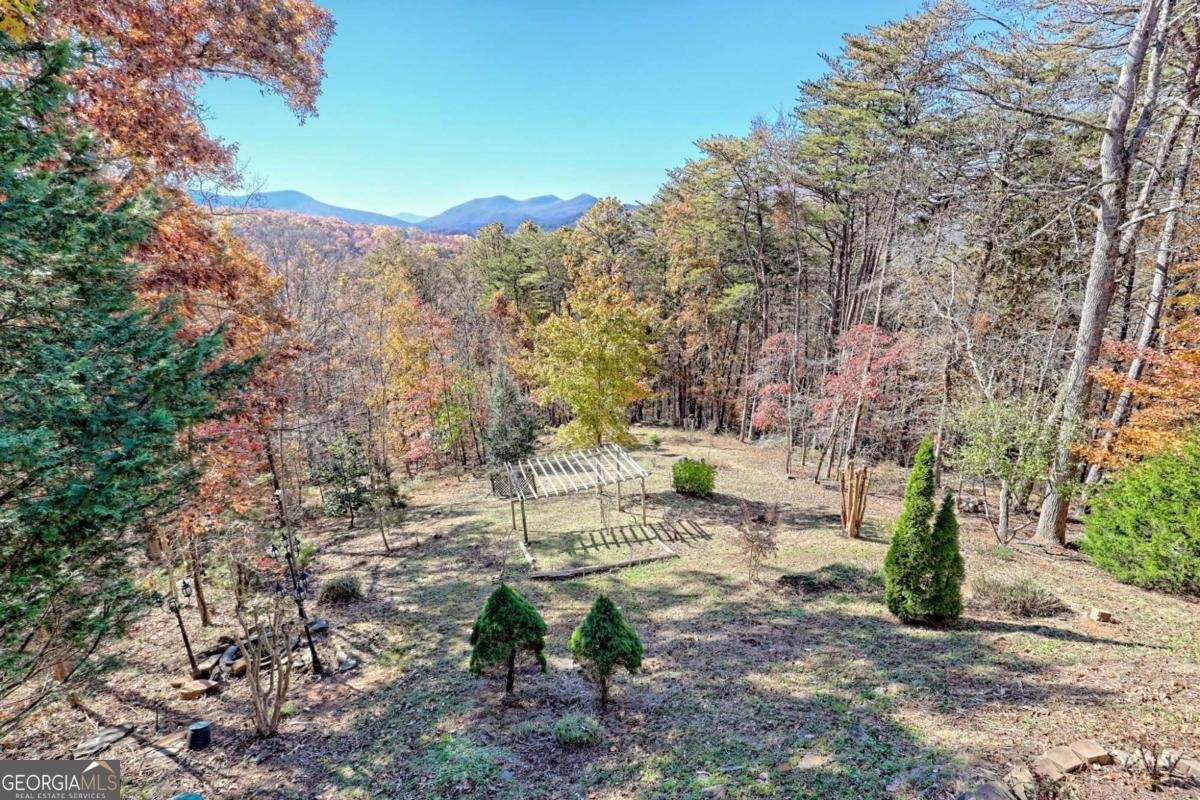 4749 Timberline Sunset Drive Young Harris - 58