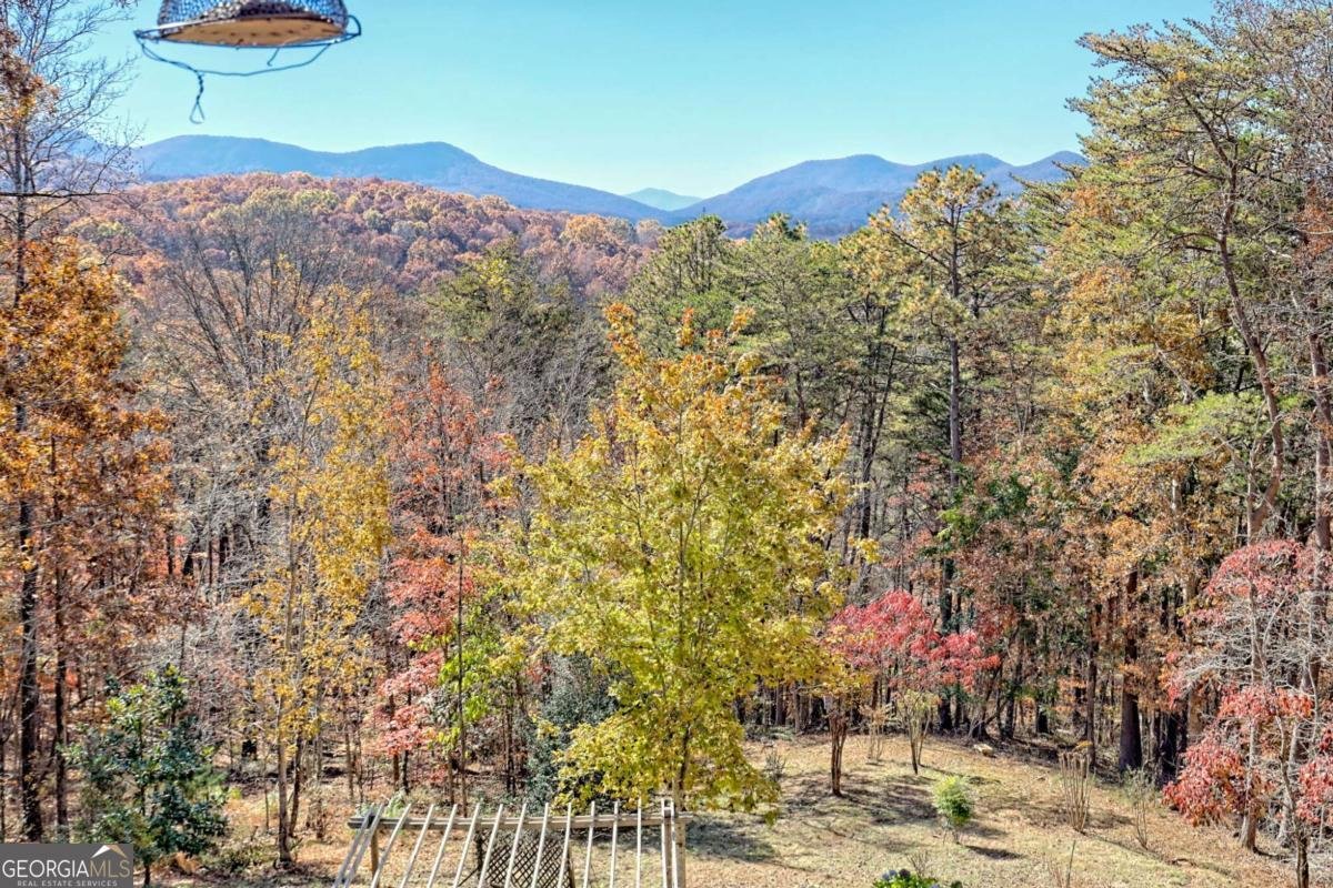 4749 Timberline Sunset Drive Young Harris - 61