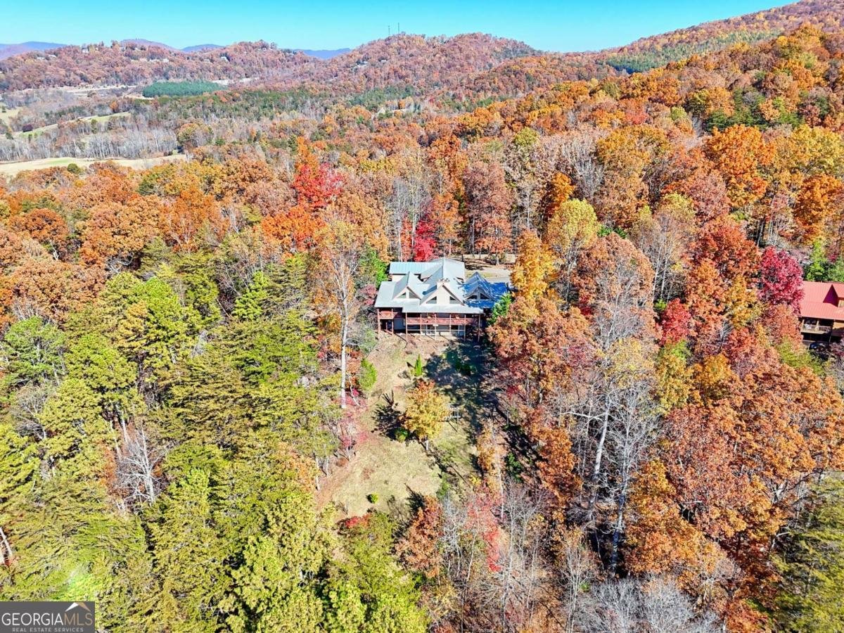 4749 Timberline Sunset Drive Young Harris - 67