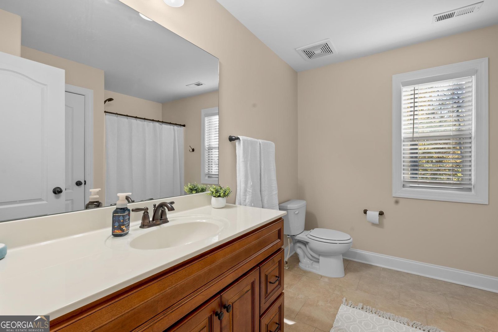 121 Walden Pond Trail Senoia - 24