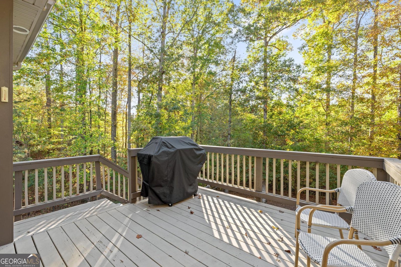 121 Walden Pond Trail Senoia - 6