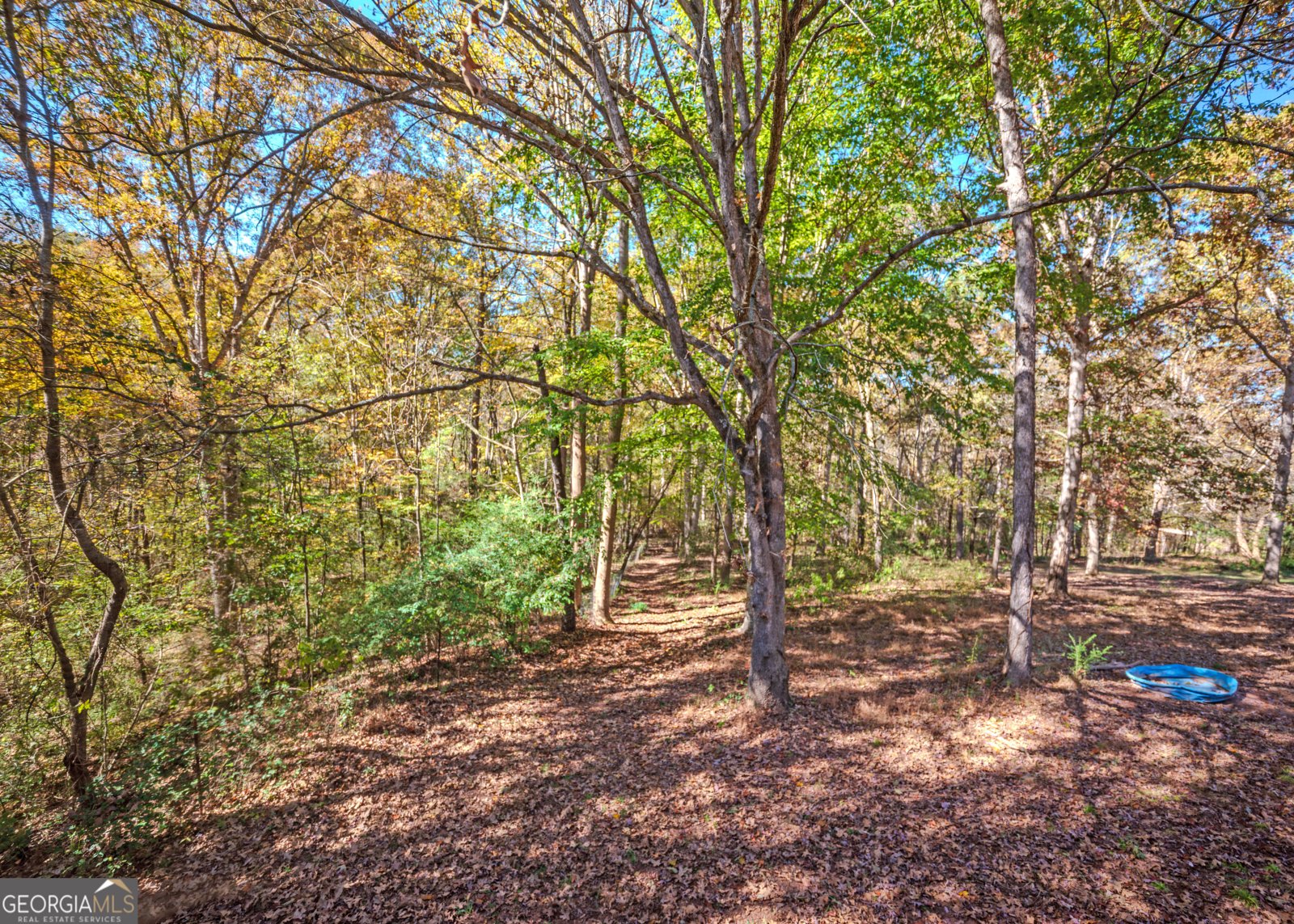 365 Carroll Church Road Lavonia - 37