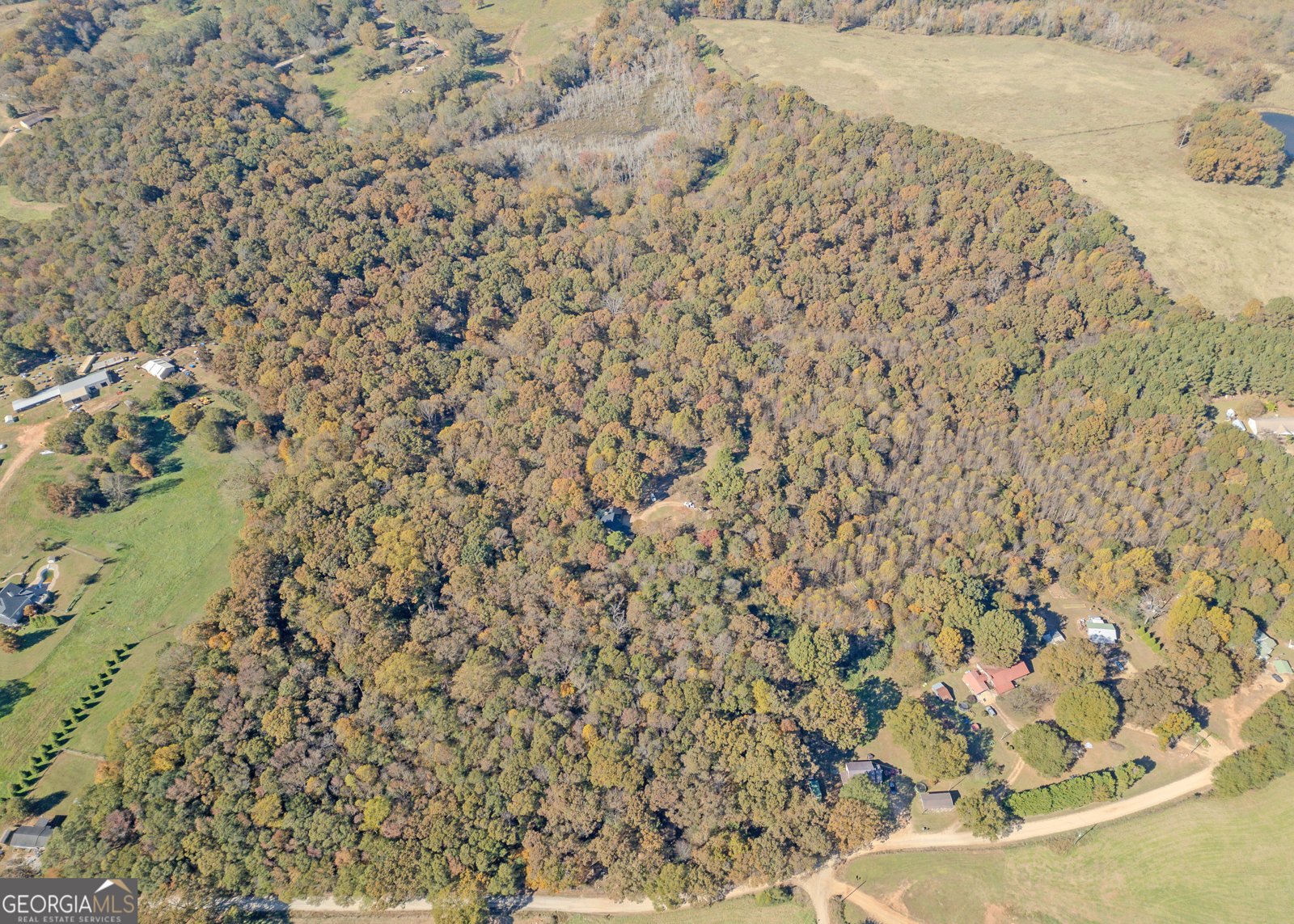 365 Carroll Church Road Lavonia - 41