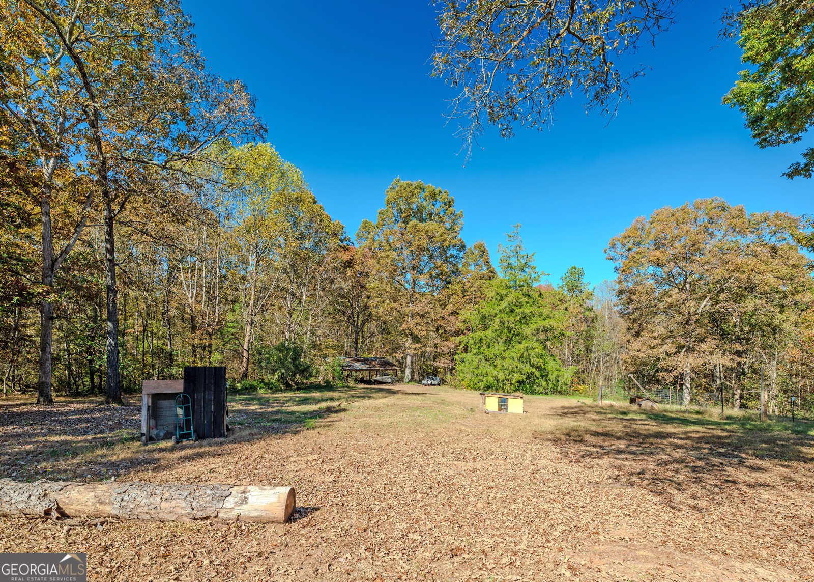 365 Carroll Church Road Lavonia - 5