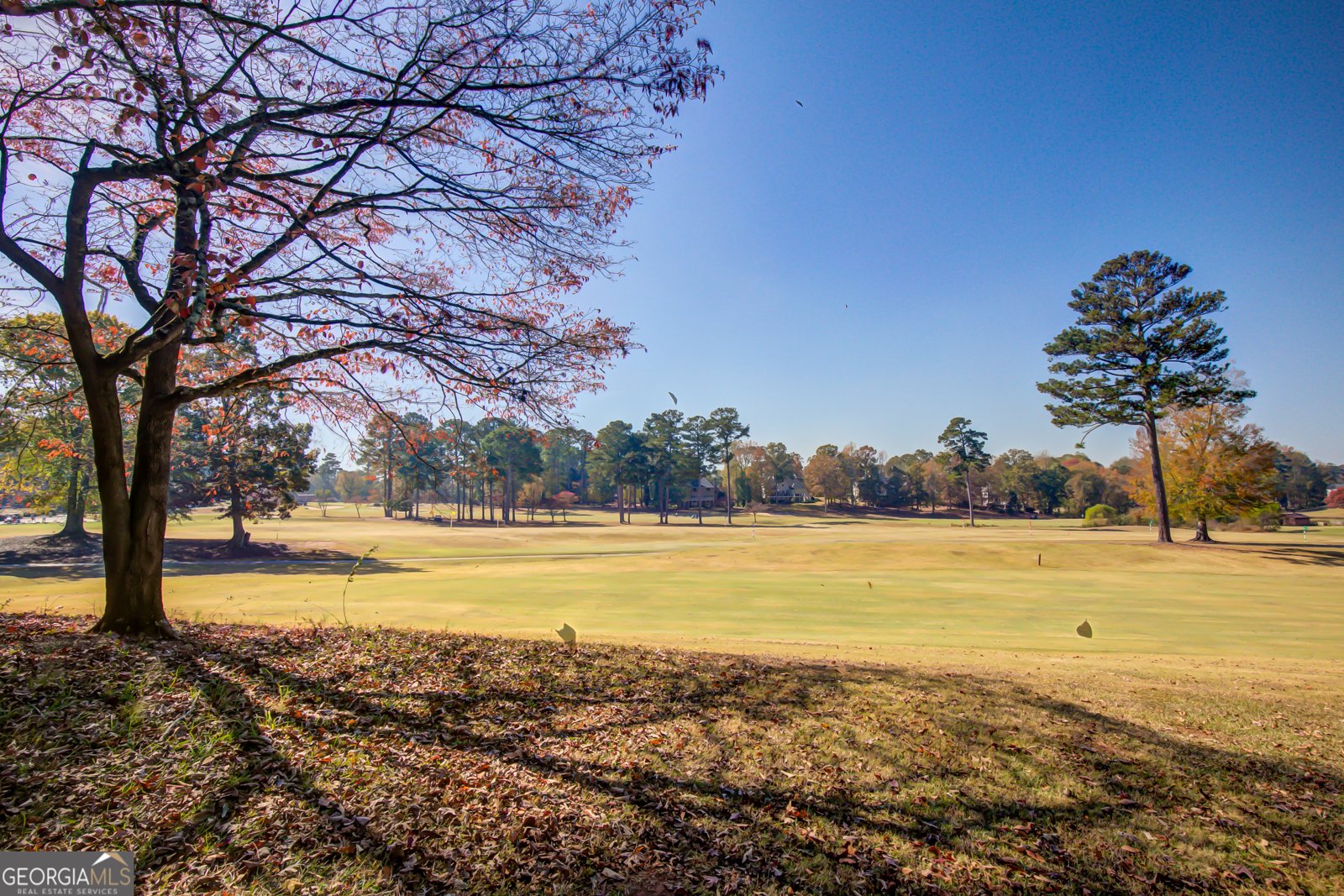 20 Village Lane Newnan - 46