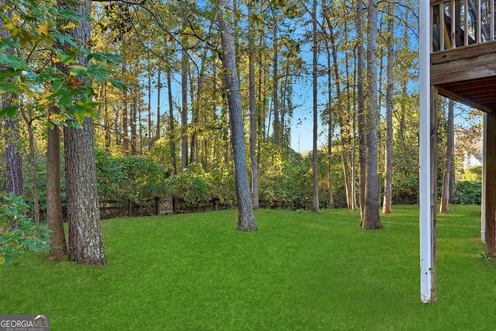 102 Magnolia Springs Lane Canton - 13