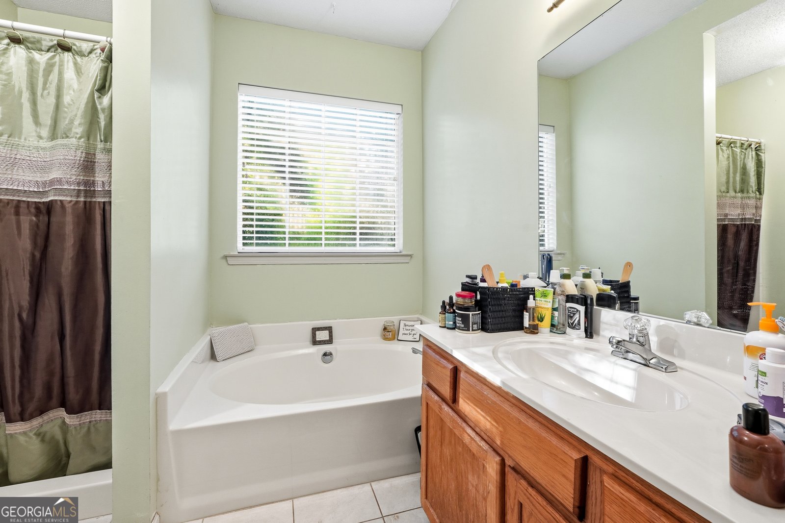 102 Magnolia Springs Lane Canton - 3