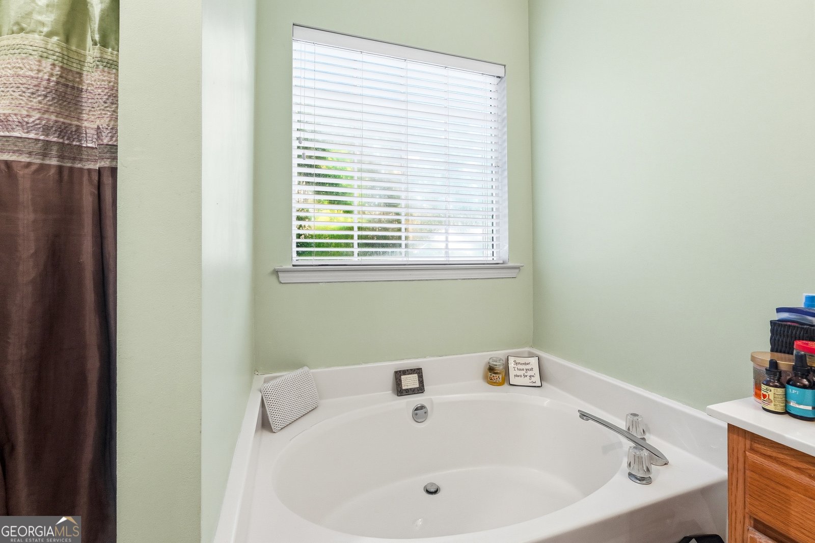 102 Magnolia Springs Lane Canton - 5