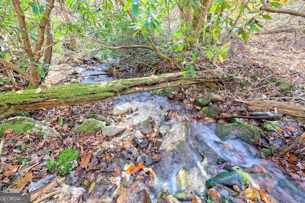 1307 Clear Creek Road Hayesville - Photo 40