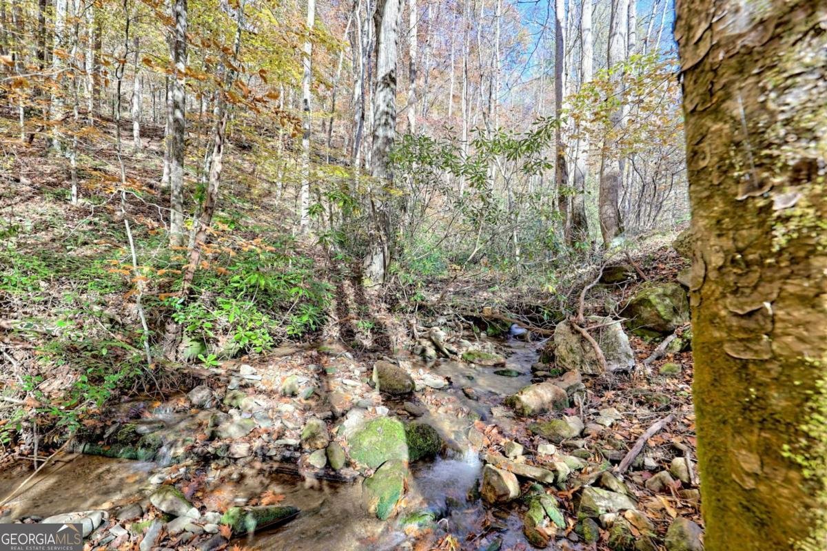 1307 Clear Creek Road Hayesville - Photo 41