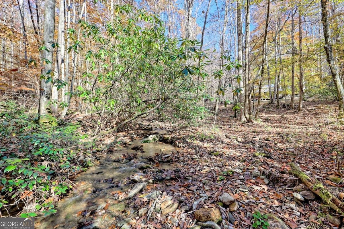 1307 Clear Creek Road Hayesville - Photo 42