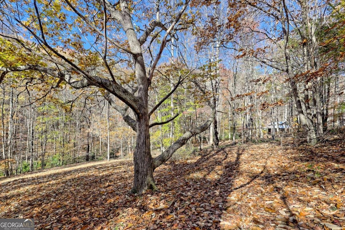 1307 Clear Creek Road Hayesville - Photo 43