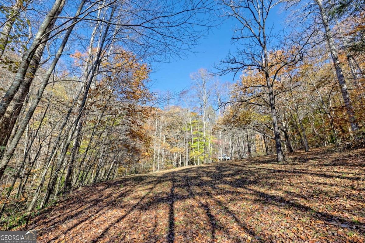1307 Clear Creek Road Hayesville - Photo 44