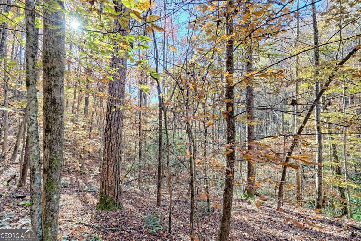 1307 Clear Creek Road Hayesville - Photo 45