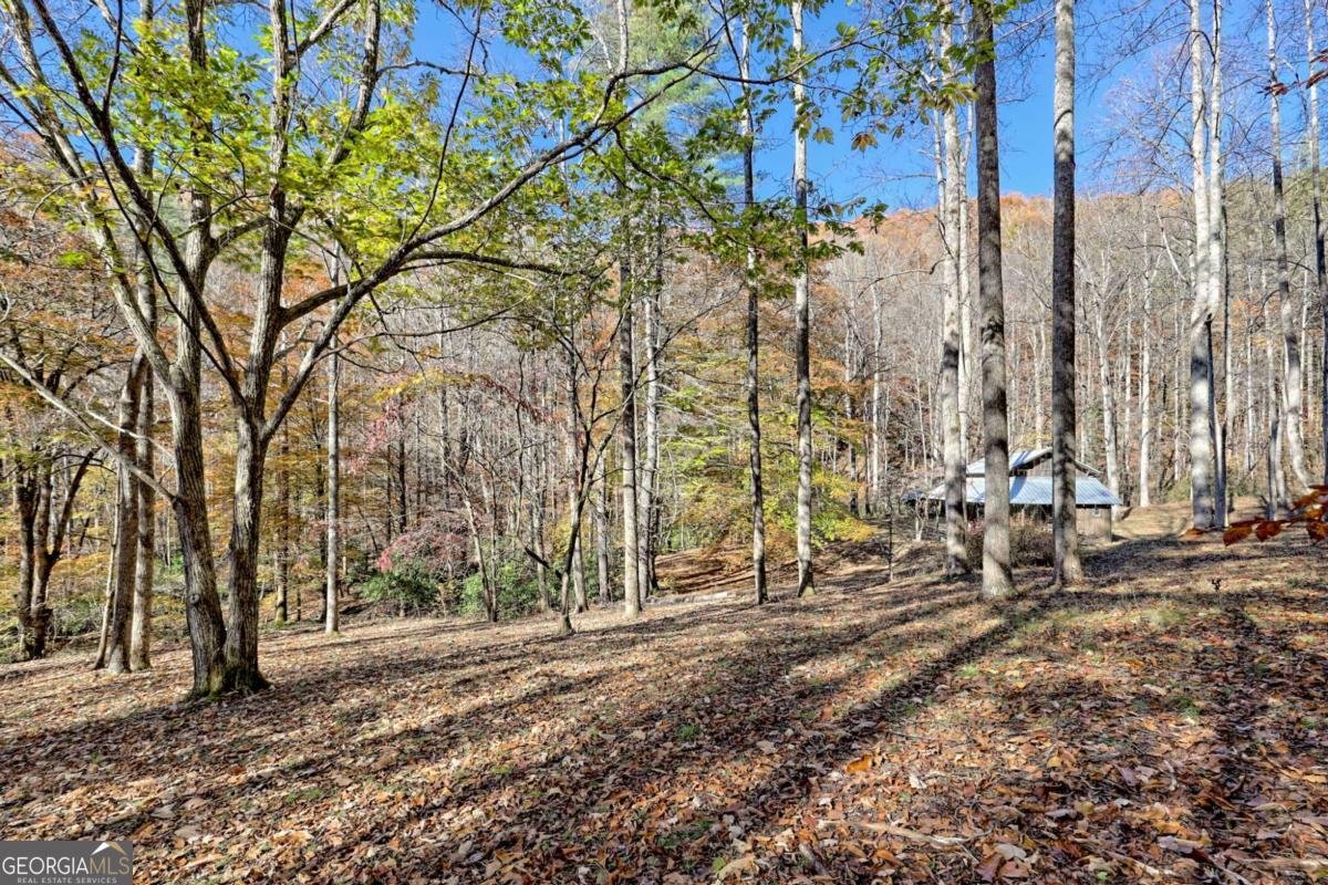 1307 Clear Creek Road Hayesville - Photo 48