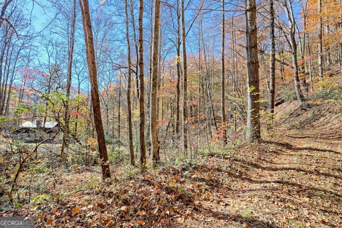 1307 Clear Creek Road Hayesville - Photo 59