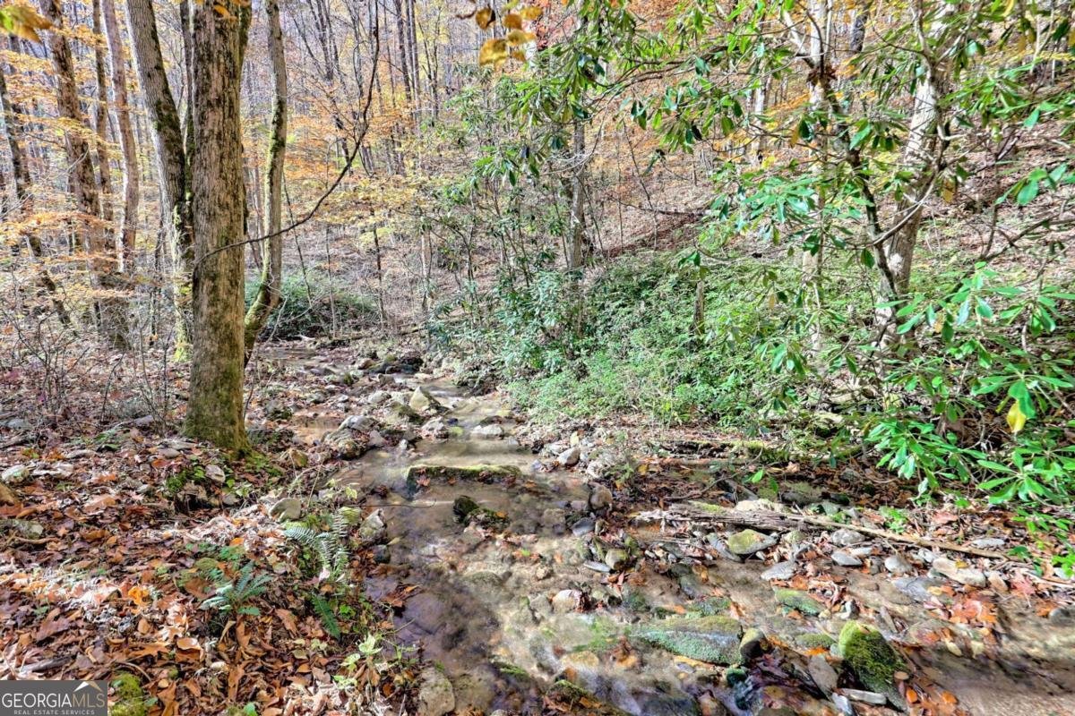 1307 Clear Creek Road Hayesville - Photo 6