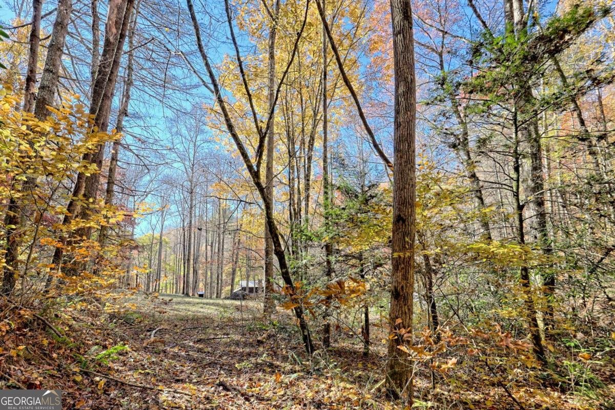 1307 Clear Creek Road Hayesville - Photo 60