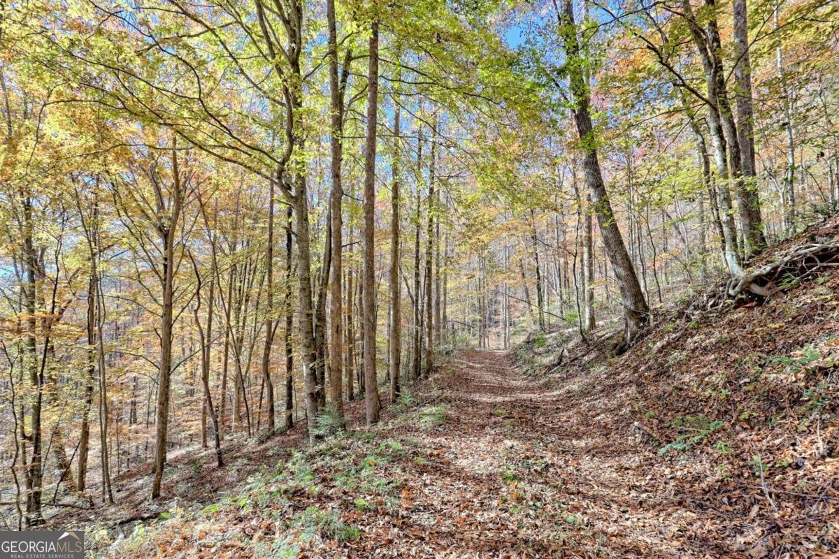 1307 Clear Creek Road Hayesville - Photo 61