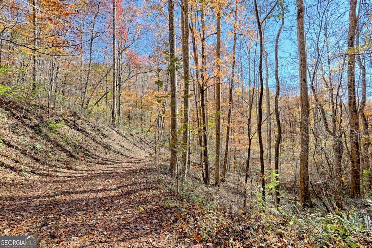 1307 Clear Creek Road Hayesville - Photo 63