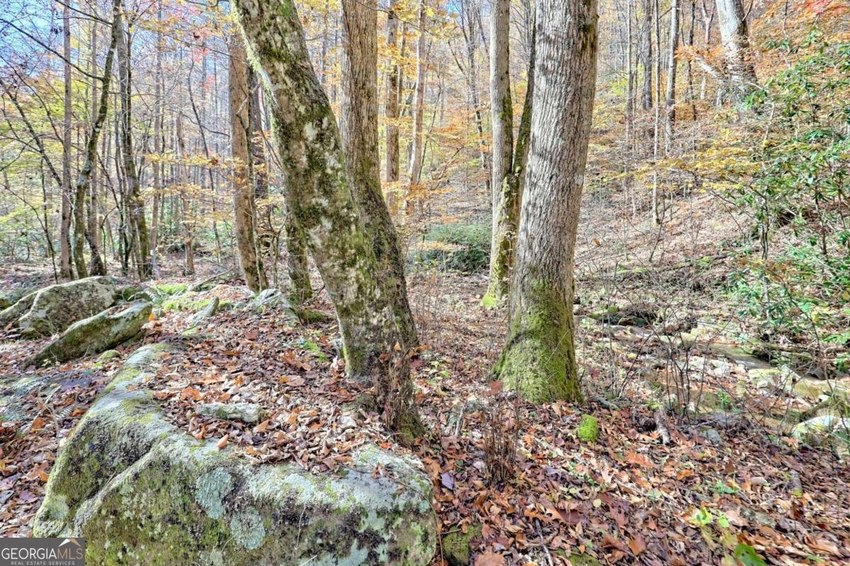 1307 Clear Creek Road Hayesville - Photo 8