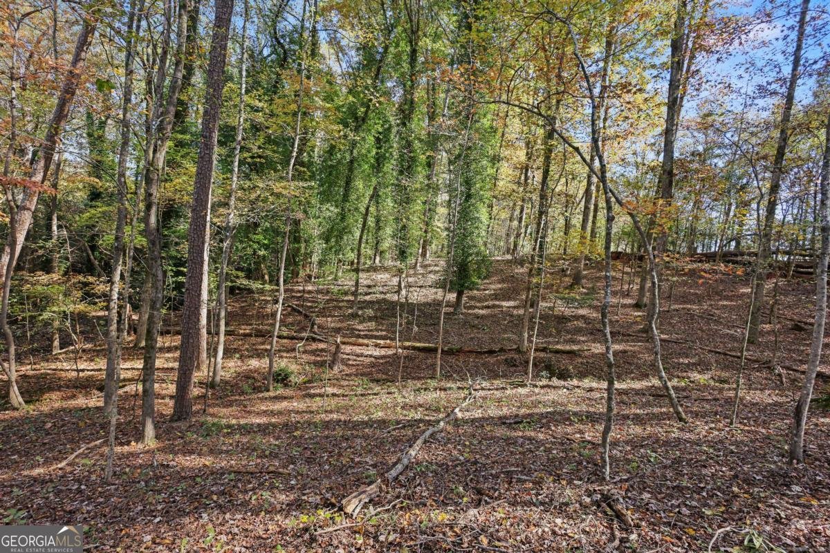 1210 Carson Graves Road Watkinsville - 55