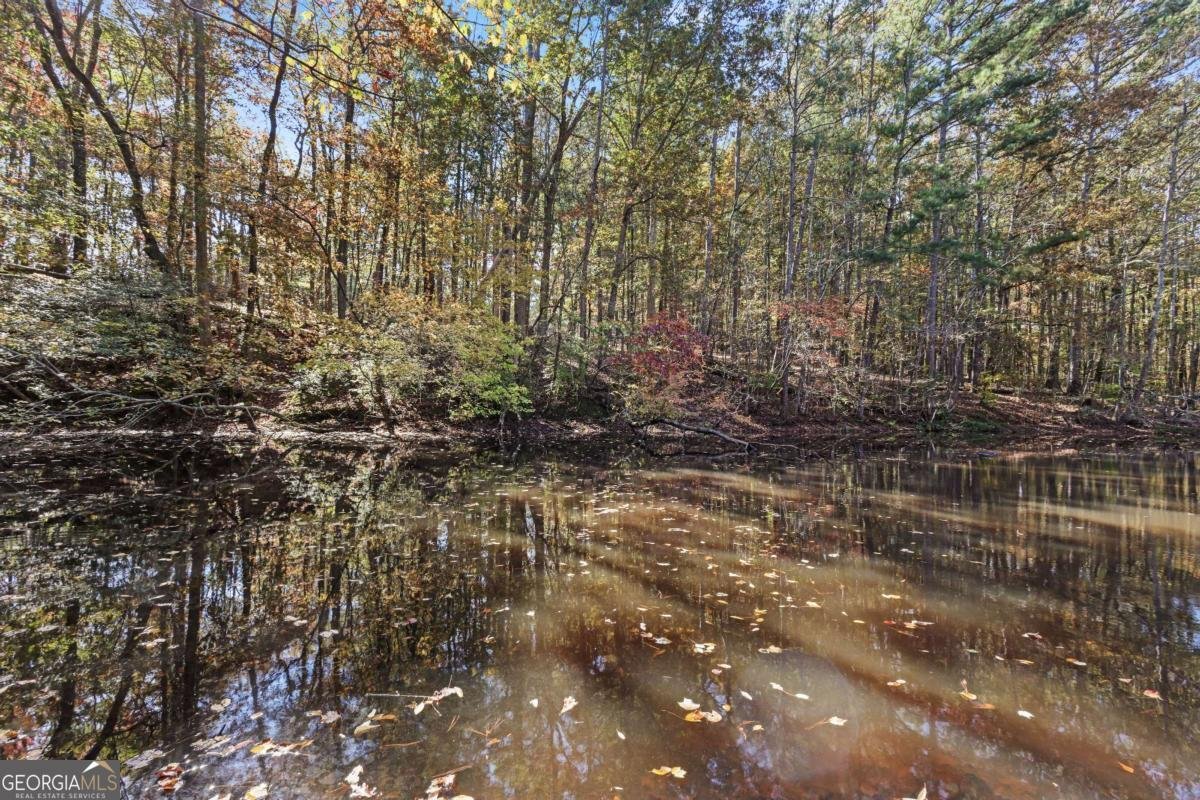 1210 Carson Graves Road Watkinsville - 56