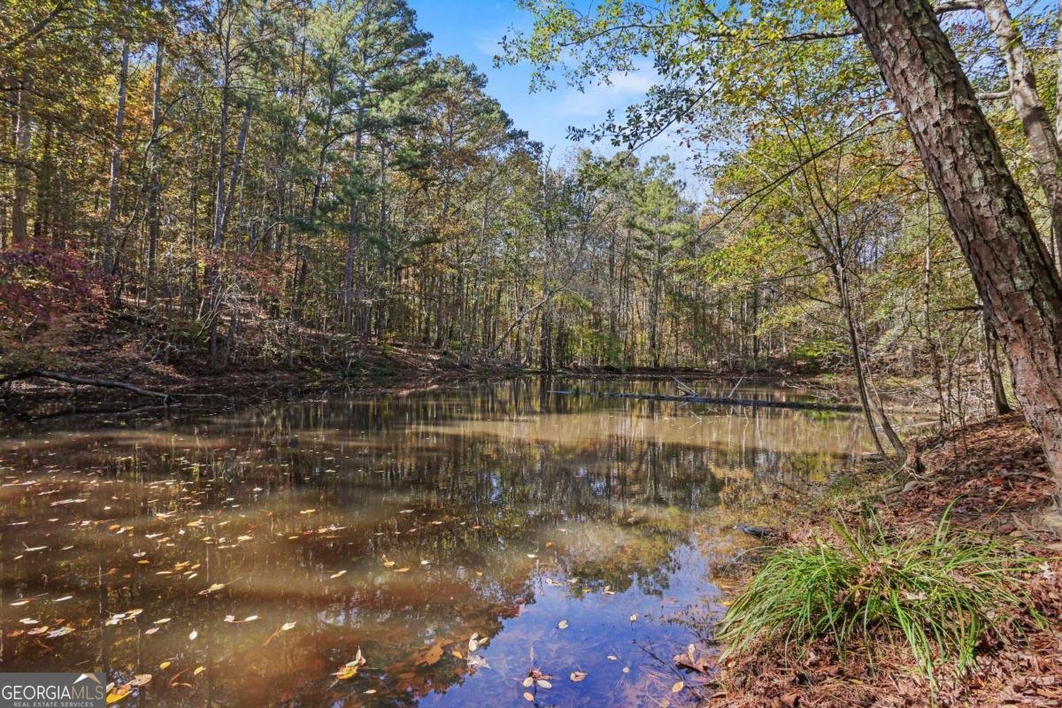 1210 Carson Graves Road Watkinsville - 57