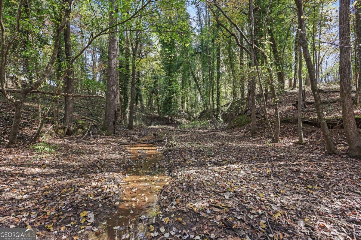 1210 Carson Graves Road Watkinsville - 58