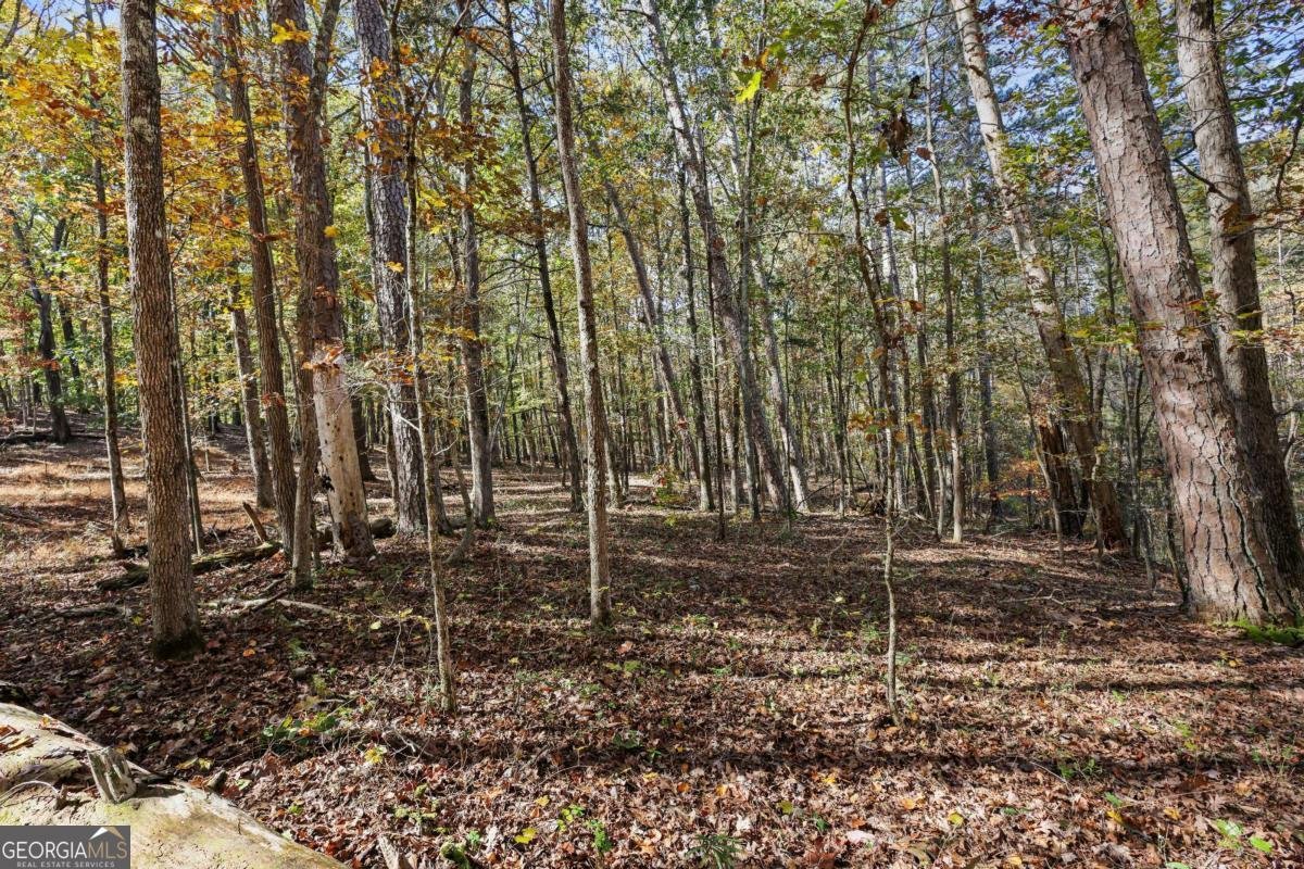 1210 Carson Graves Road Watkinsville - 59