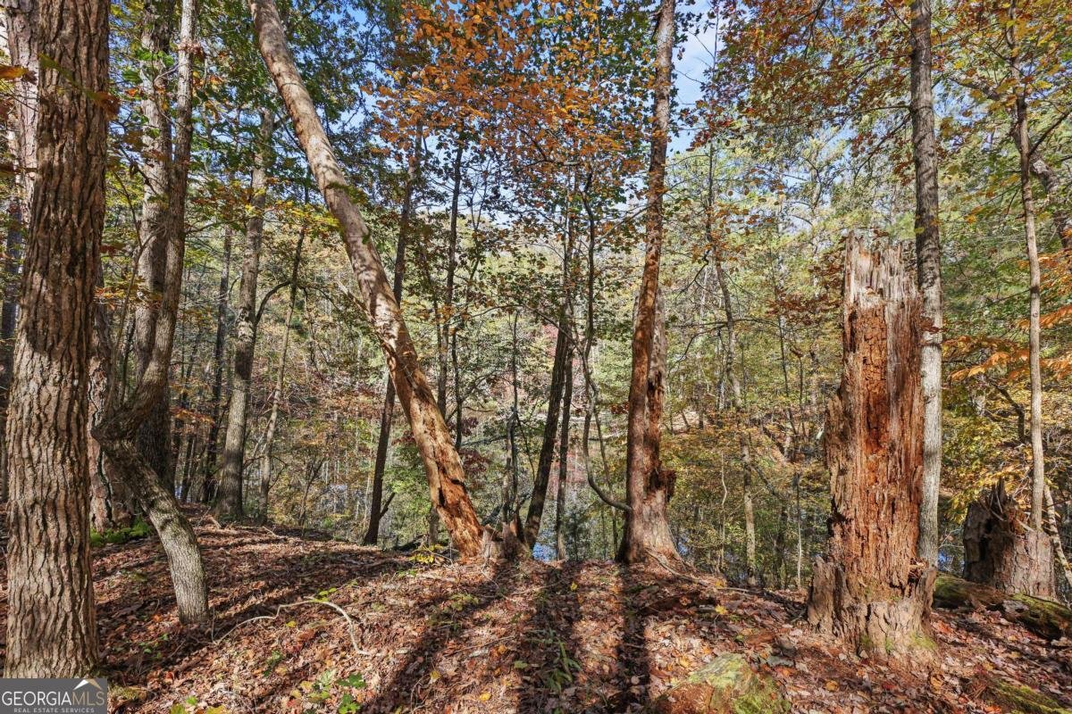 1210 Carson Graves Road Watkinsville - 60