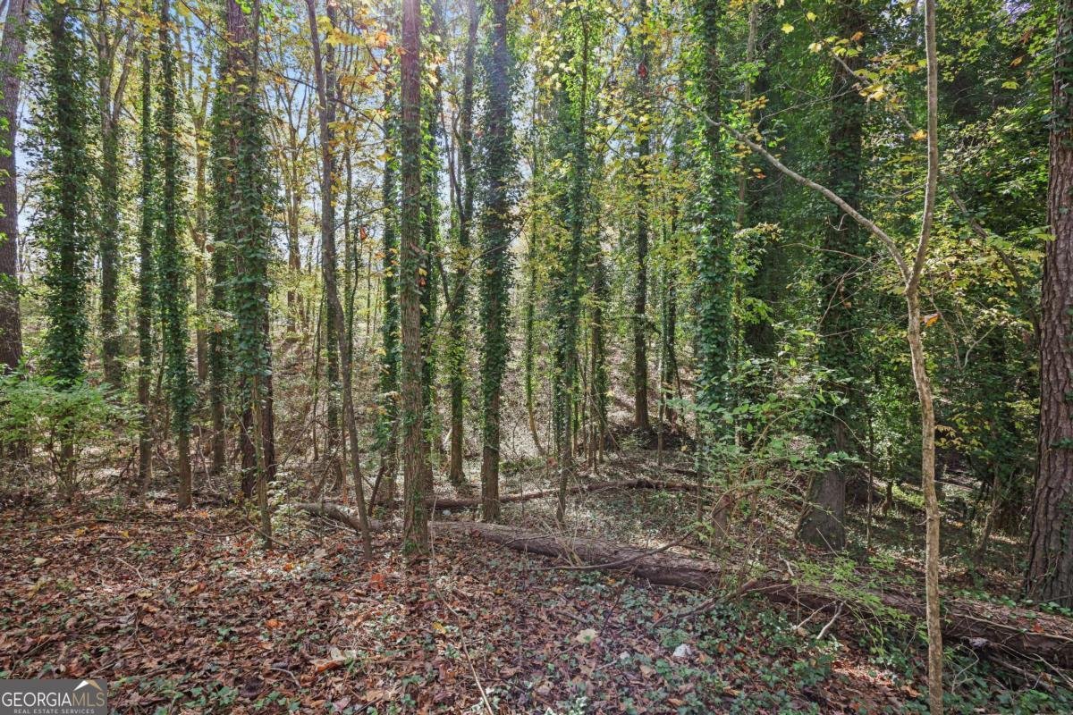 1210 Carson Graves Road Watkinsville - 62