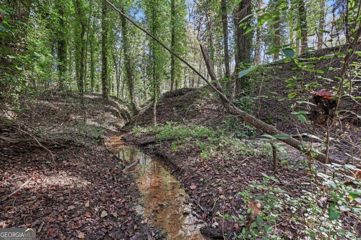 1210 Carson Graves Road Watkinsville - 8