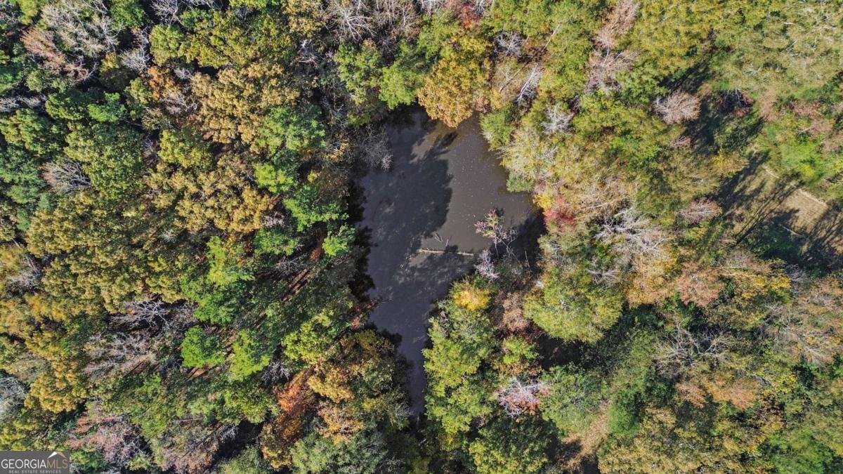 1210 Carson Graves Road Watkinsville - 9