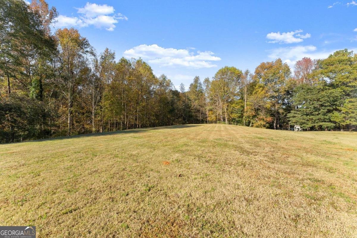 95 Lola Street Colbert - 19