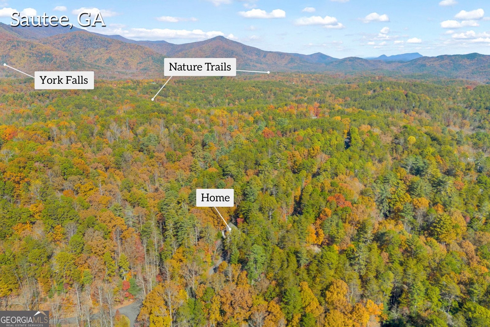 222 Blue Ridge Drive Sautee Nacoochee - 101