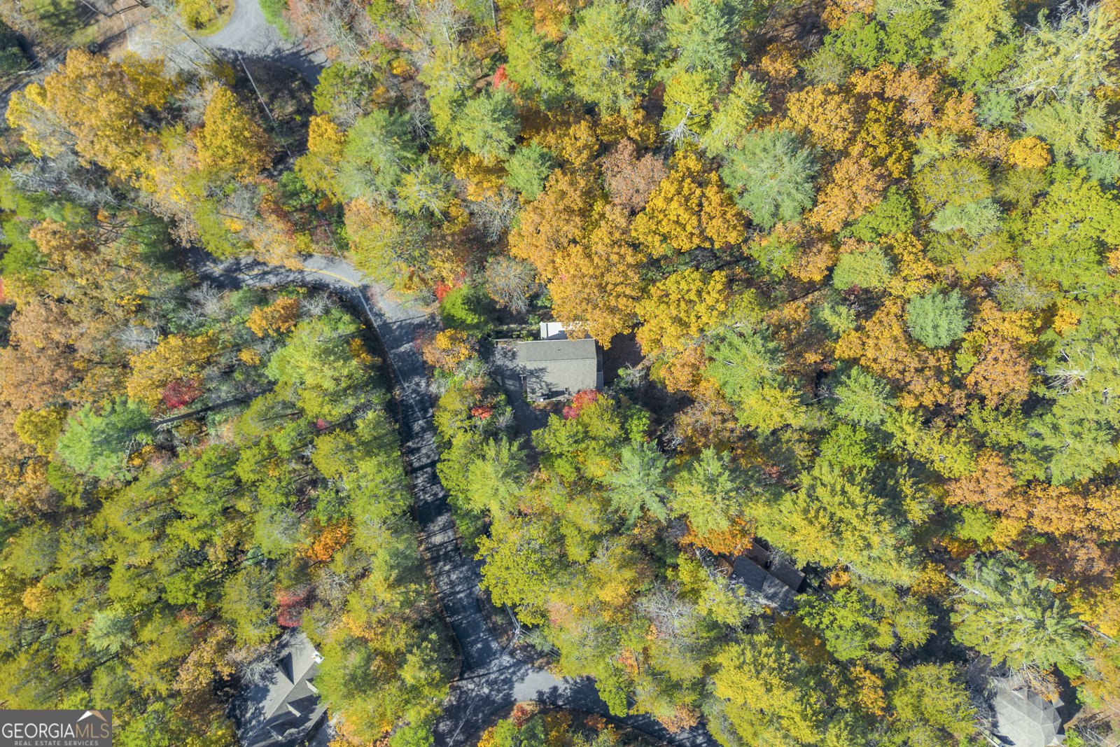 222 Blue Ridge Drive Sautee Nacoochee - 105