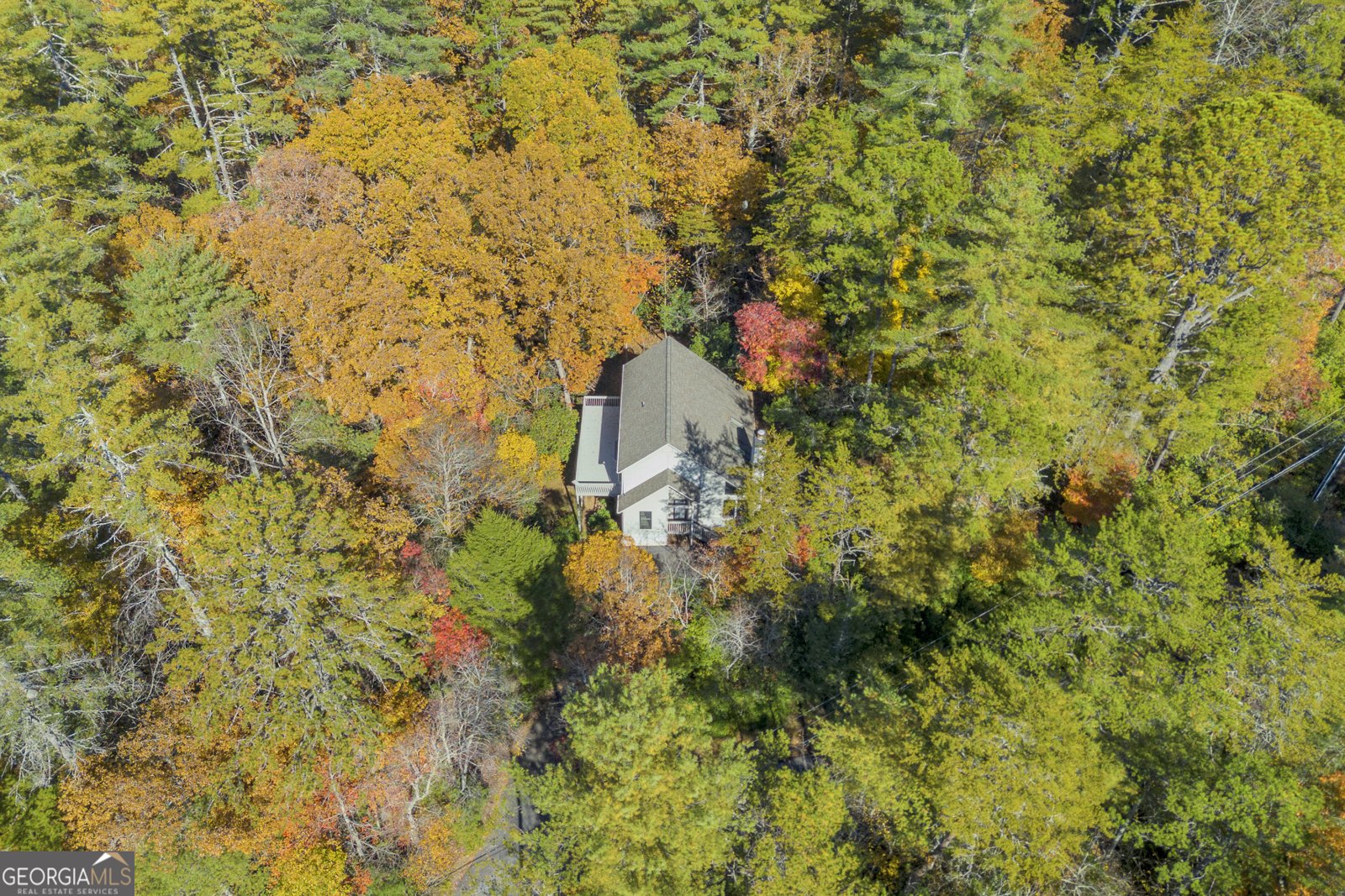 222 Blue Ridge Drive Sautee Nacoochee - 106