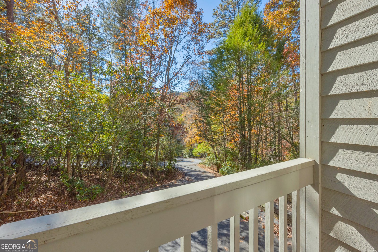 222 Blue Ridge Drive Sautee Nacoochee - 81